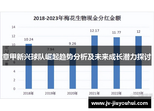 意甲新兴球队崛起趋势分析及未来成长潜力探讨 意甲新兴球队崛起趋势分析及未来成长潜力探讨