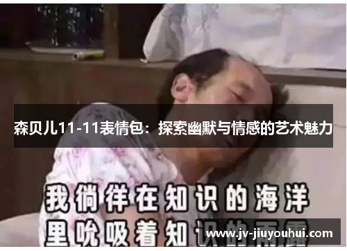 森贝儿11-11表情包:探索幽默与情感的艺术魅力 森贝儿11-11表情包:探索幽默与情感的艺术魅力