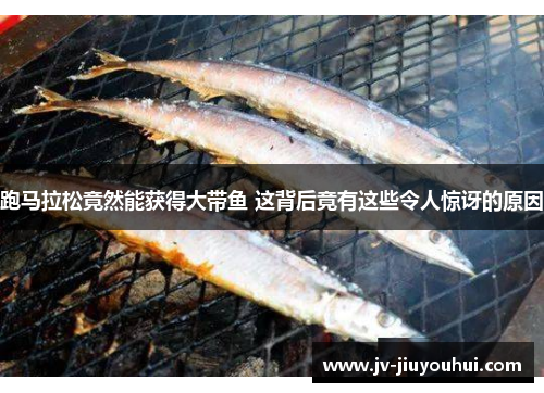 跑马拉松竟然能获得大带鱼 这背后竟有这些令人惊讶的原因